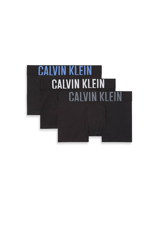 CALVIN KLEIN TRUNK 3PK Bokserit