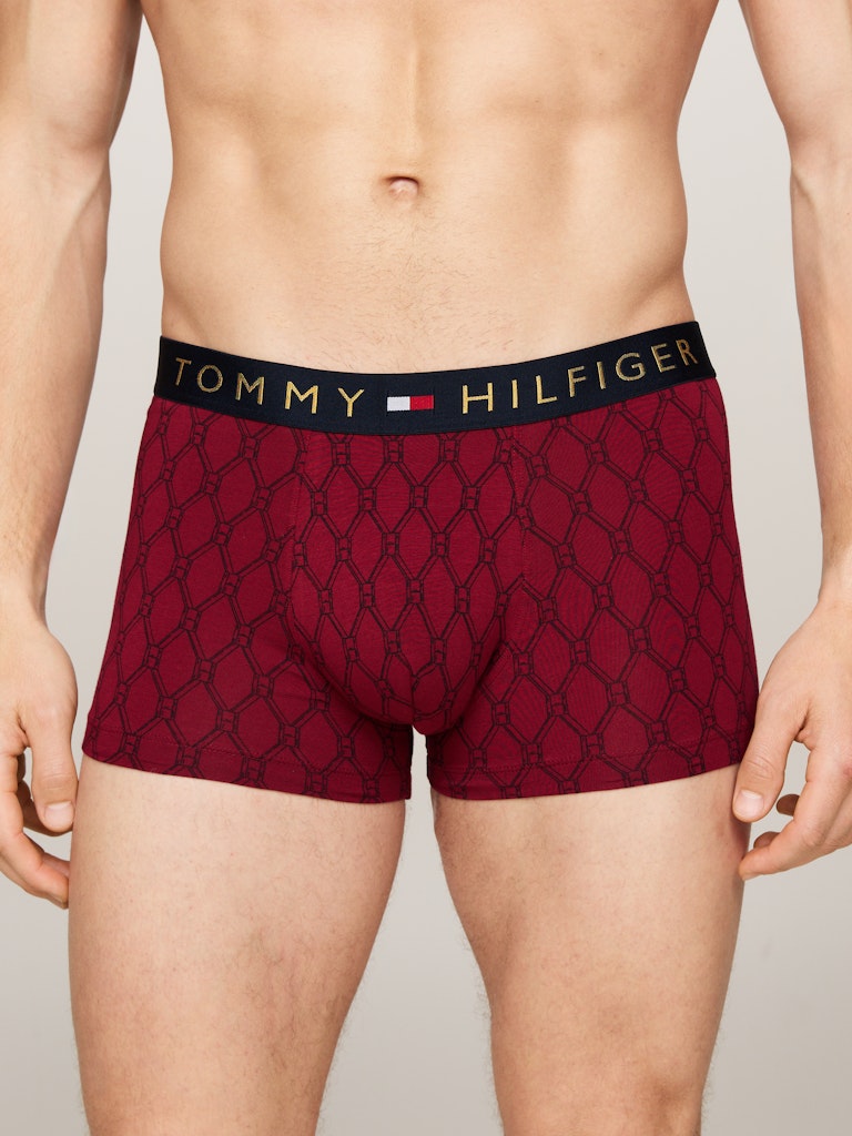 TOMMY HILFIGER TRUNK PRINT CTN GOLD Bokserit