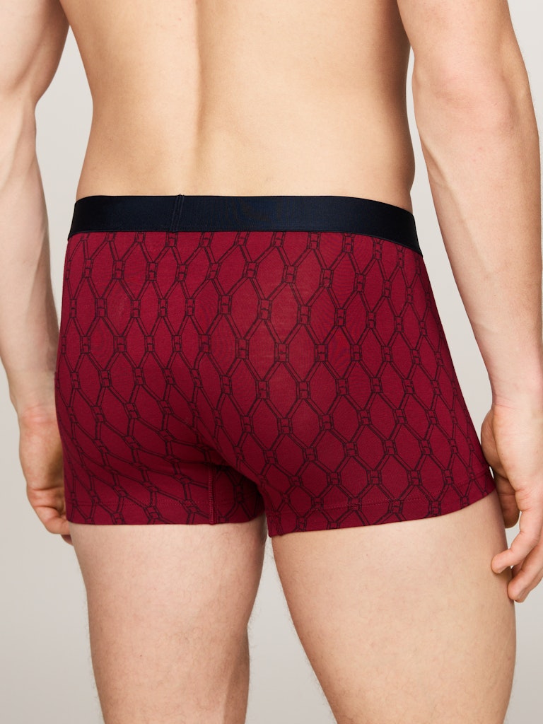 TOMMY HILFIGER TRUNK PRINT CTN GOLD Bokserit