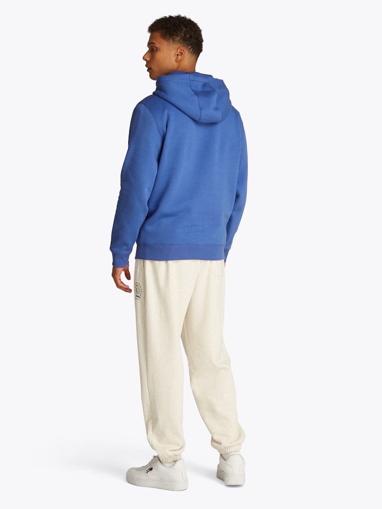 TJM REG S FLAG HOODIE Huppari